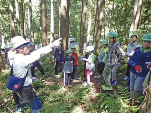 みどりの少年団の育成　森林・環境教育の推進活動の様子