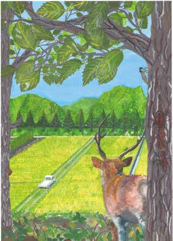 磯野　友春さん（小6）